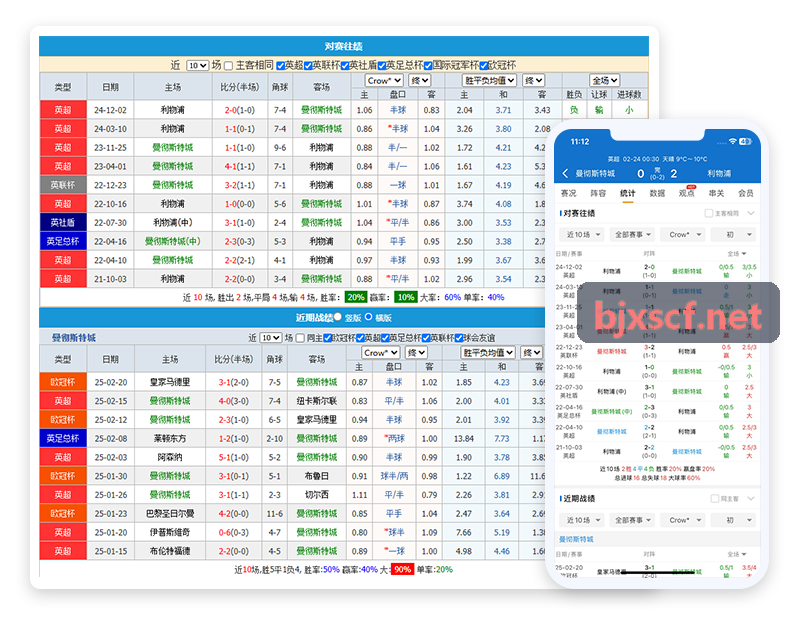 体育赛事裁判与志愿者协同管理体系